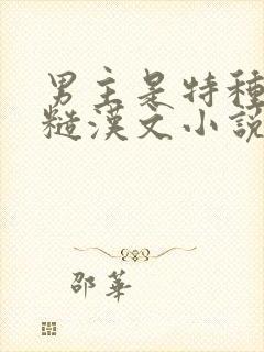 男主是特种兵的糙汉文小说