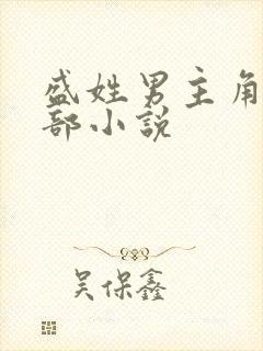 盛姓男主角的全部小说