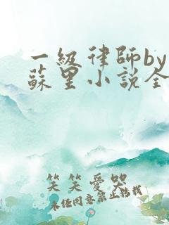 一级律师by木苏里小说全文免费阅读