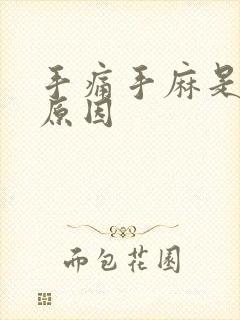 手痛手麻是什么原因