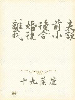 离婚后前夫总求我复合小说