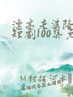 漂亮老婆陪过年短剧100集免费观看