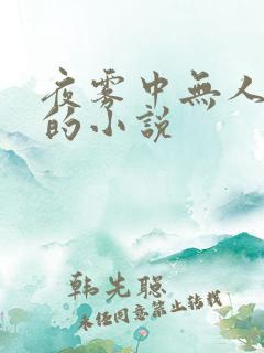 夜雾中无人爱我的小说