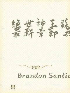 绝世神王苏莫 最新章节 无弹窗 笔趣阁