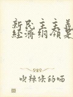 新民主主义革命经济纲领是