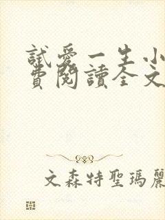 试爱一生小说免费阅读全文