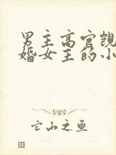 男主高官觊觎已婚女主的小说