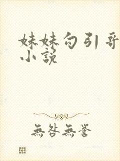 妹妹勾引哥哥的小说