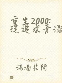 重生2000:从追求青涩校花同桌开始00