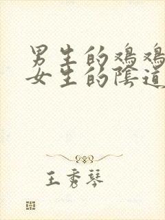 男生的鸡鸡插入女生的阴道里