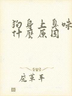 狗身上臭味道重什么原因