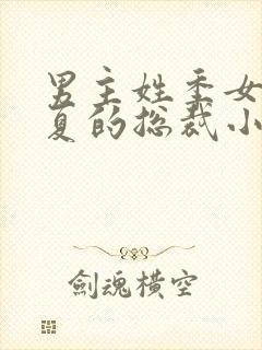 男主姓季女主姓夏的总裁小说