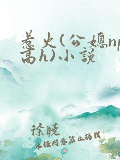 惹火(公媳np高h)小说