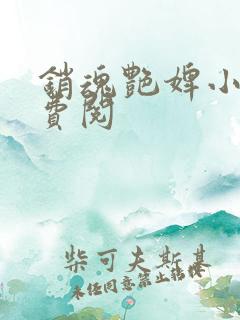 销魂艳婢小说免费阅