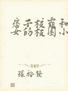 痞子校霸和乖乖女的校园小说