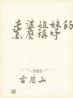 老婆姐妹的老公怎么称呼