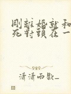 刚离婚就和前妻死对头在一起短剧全