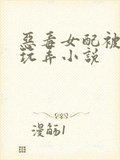 恶毒女配被调教玩弄小说