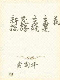 新民主主义革命总路线是