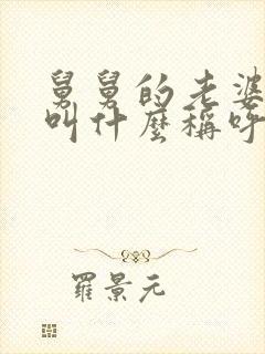 舅舅的老婆应该叫什么称呼呢