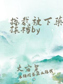 总裁被下药自己揉裆by