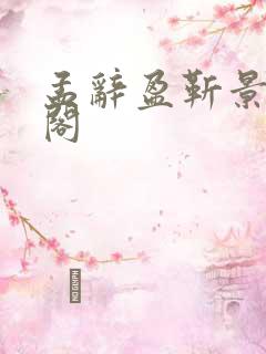 孟辞盈靳景笔趣阁