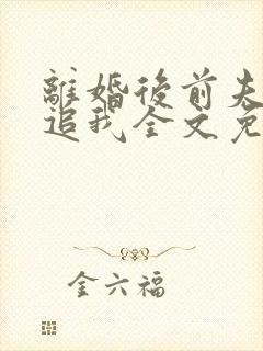 离婚后前夫总是追我全文免费阅读