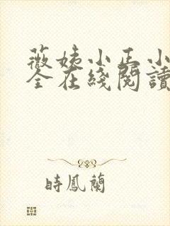 薇姨小正小说大全在线阅读