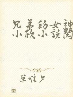 兄弟的女神女友小欣小说阅读