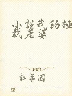 小说我的极品总裁老婆