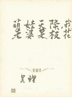 萌娃天降,我的老婆是校花短剧资源