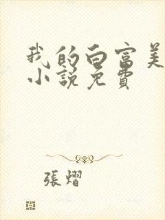 我的白富美老婆小说免费