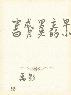 穿成男主早逝的白月光的小说