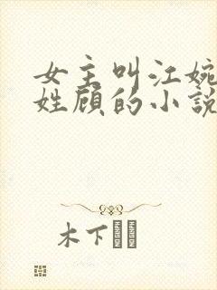 女主叫江婉男主姓顾的小说