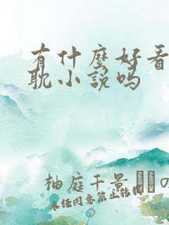 有什么好看的原耽小说吗