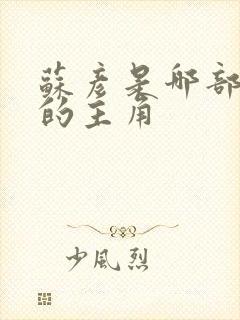 苏彦是哪部小说的主角