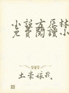 小说方辰林雪妍免费阅读小说