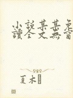 小说某某免费阅读全文无窗口