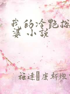 我的冷艳总裁老婆 小说