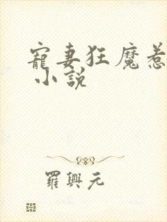 宠妻狂魔惹不得 小说