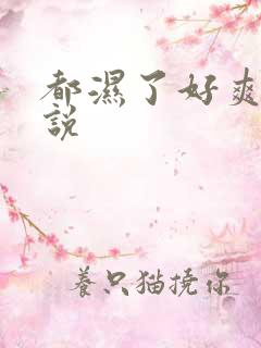 都湿了好爽的小说