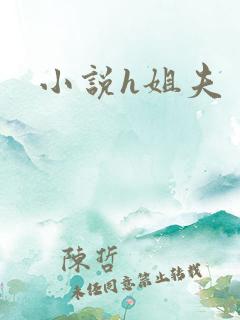 小说h姐夫