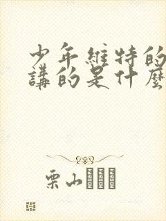 少年维特的烦恼讲的是什么