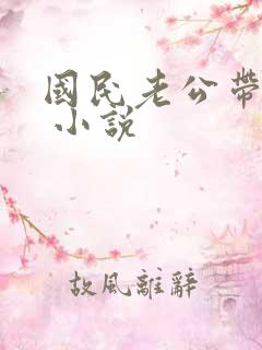 国民老公带回家 小说