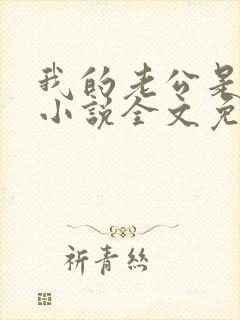 我的老公是大佬小说全文免费阅读