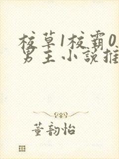 校草1校霸0双男主小说推荐