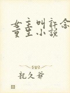 女主叫许念初的重生小说