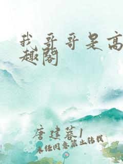 我哥哥是高欢笔趣阁