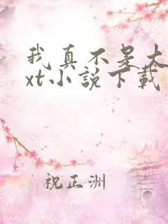 我真不是大佬txt小说下载