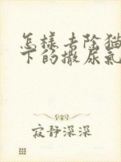 怎样去除猫狗留下的撒尿气味